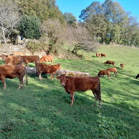 Le Gaffatou Πανσιόν *