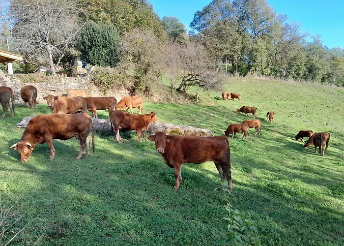 Le Gaffatou Πανσιόν *